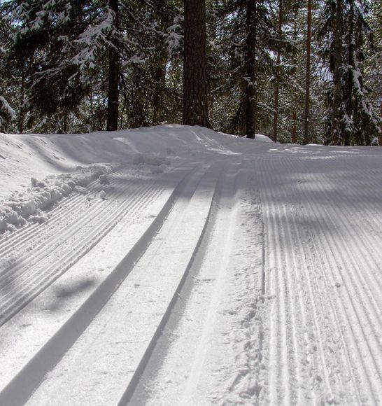 A cross-country skiing slope