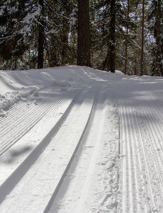 A cross-country skiing slope